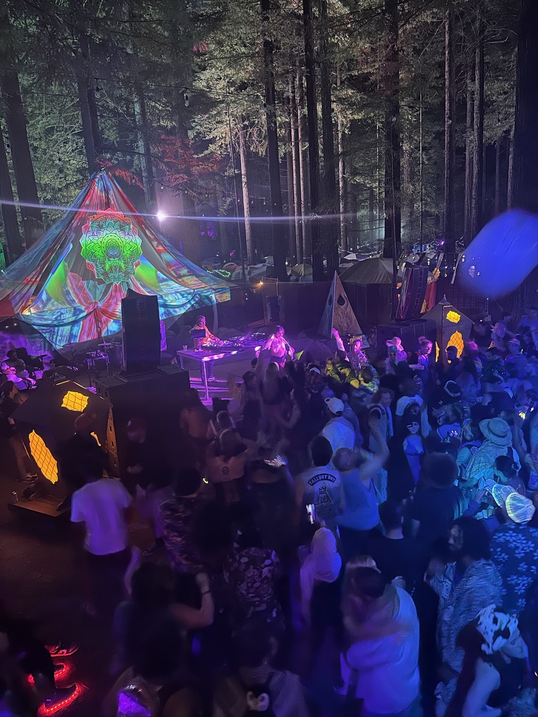 Crowd dancing beneath the redwoods at Northern Nights Festival